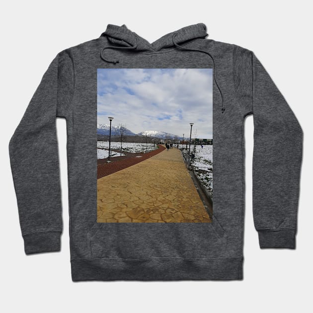 Snowy day in the park Hoodie by Stephfuccio.com